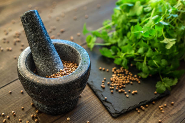 koriandersamen und blätter mit granitmörtel - mortar and pestle herb coriander seed cilantro stock-fotos und bilder