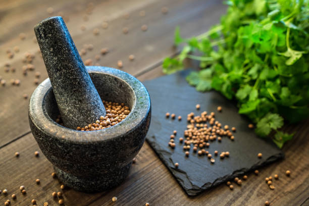istock cilantro coriander seeds and leaves with granite mortar 1202823307