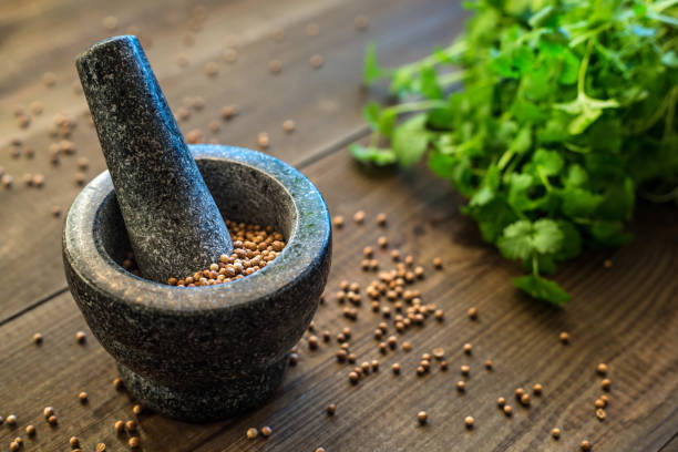 koriandersamen und blätter mit granitmörtel - mortar and pestle herb coriander seed cilantro stock-fotos und bilder