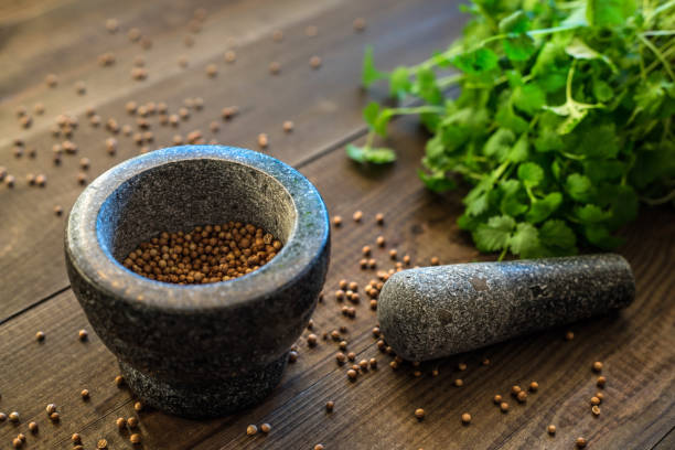 koriandersamen und blätter mit granitmörtel - mortar and pestle herb coriander seed cilantro stock-fotos und bilder