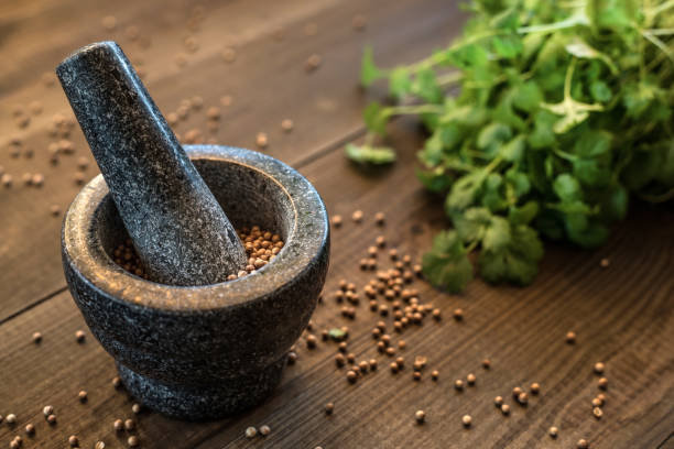 koriandersamen und blätter mit granitmörtel - mortar and pestle herb coriander seed cilantro stock-fotos und bilder