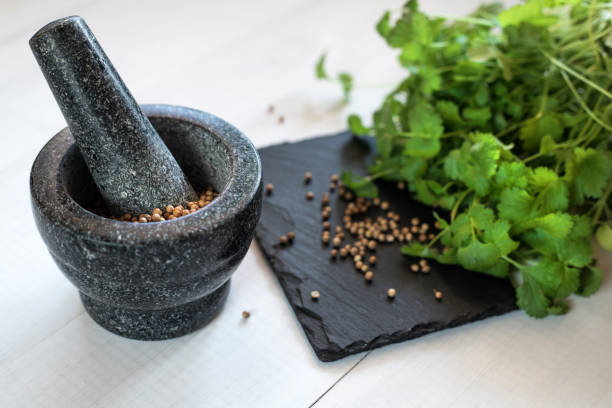 koriandersamen und blätter mit granitmörtel - mortar and pestle herb coriander seed cilantro stock-fotos und bilder