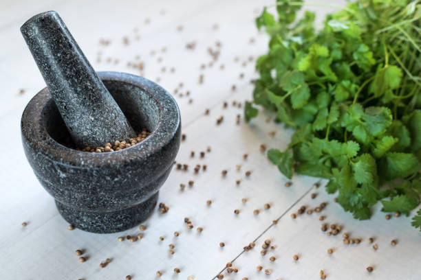 koriandersamen und blätter mit granitmörtel - mortar and pestle herb coriander seed cilantro stock-fotos und bilder