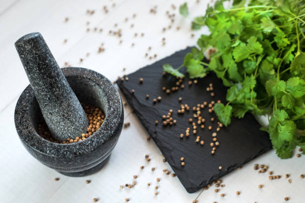 koriandersamen und blätter mit granitmörtel - mortar and pestle herb coriander seed cilantro stock-fotos und bilder