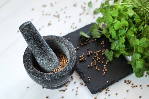 koriandersamen und blätter mit granitmörtel - mortar and pestle herb coriander seed cilantro stock-fotos und bilder