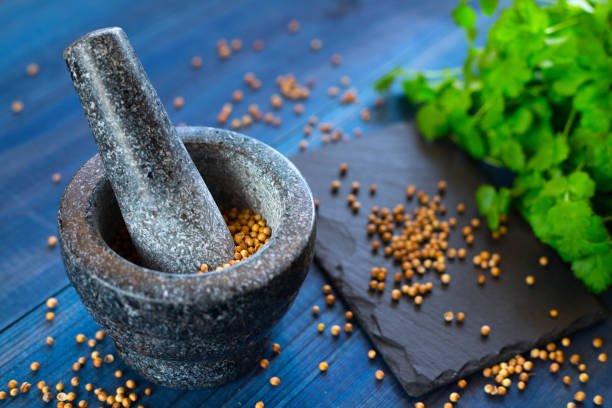 istock cilantro coriander seeds and leaves with granite mortar 1202823834