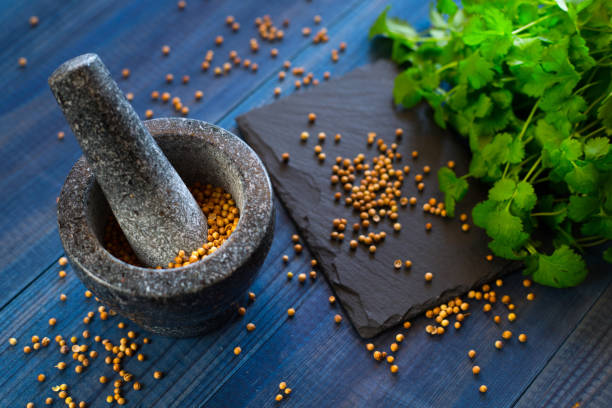 koriandersamen und blätter mit granitmörtel - mortar and pestle herb coriander seed cilantro stock-fotos und bilder