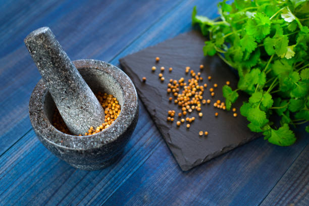 koriandersamen und blätter mit granitmörtel - mortar and pestle herb coriander seed cilantro stock-fotos und bilder