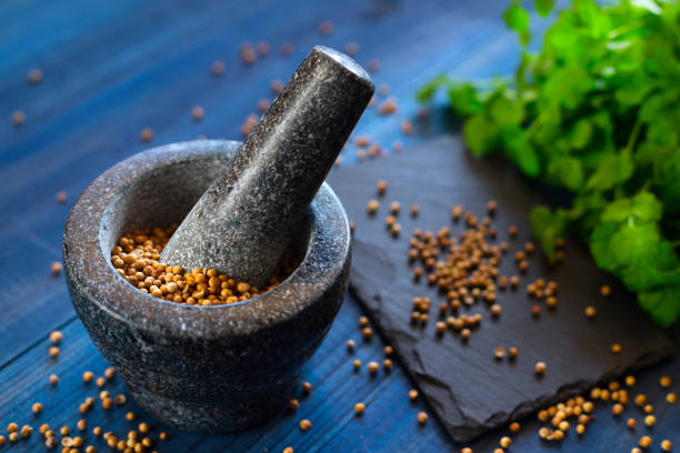 istock cilantro coriander seeds and leaves with granite mortar 1202823951