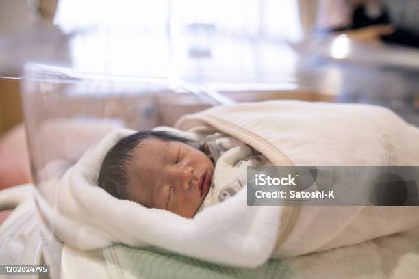 Neonato Dorme In Presepe In Ospedale - Fotografie stock e altre immagini di  Bebé - Bebé, Copertina per bebè, Soltanto neonati - iStock