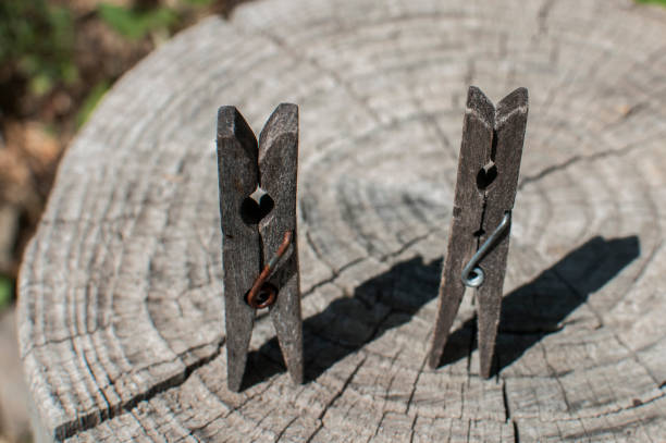 istock Old wooden clothing pegs 1202826101