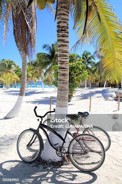 Bicycles Bike On Coconut Palm Tree Caribbean Beach Stock Photo - Download Image Now - Bicycle, Beach, Beauty In Nature