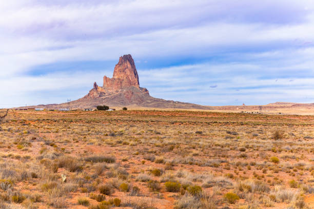istock Arizona desert landscape 1202830906