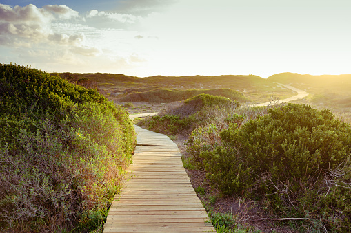 This is a horizontal, color photograph of a wooden beach boardwalk winding through sand dunes covered with vegetation on a sunny day on the coast of the Western Cape in South Africa.
