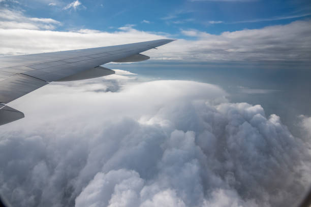 istock Aerial View from the Plane 1202831183