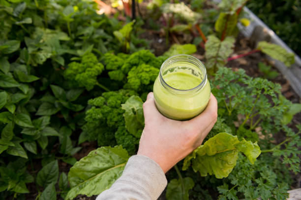 fermez-vous vers le haut du smoothie vert dans le pot en verre tenu au-dessus du jardin vert feuillu - green smoothie smoothie nutritional supplement leaf vegetable photos et images de collection