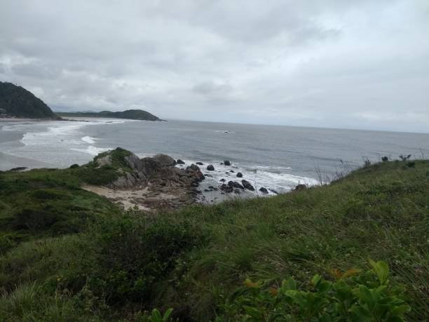 istock Beautiful nature and beach 1202835951