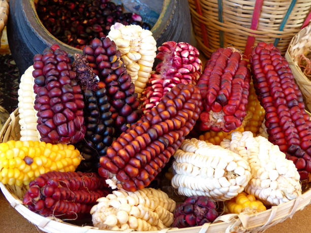 istock Colorful cubs of corn in busket 1202837983