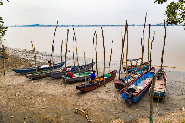 Guayaquil, Ecuador, December 31, 2018: Some artisanal fishing canoes, on the banks of the Guayas River on Santay Island, waiting for high tide to go out to the daily fishing tasks.