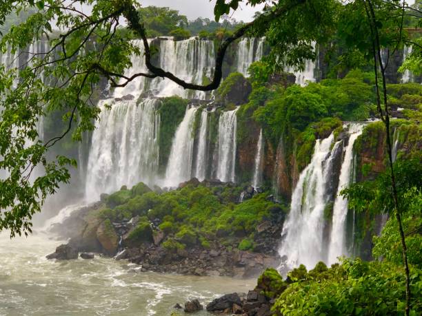 cataratas del iguazú - iguacu falls argentina tropical rainforest rainbow fotografías e imágenes de stock