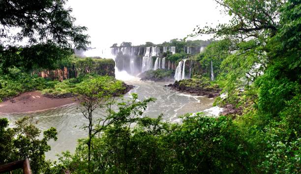 cataratas del iguazú - iguacu falls argentina tropical rainforest rainbow fotografías e imágenes de stock