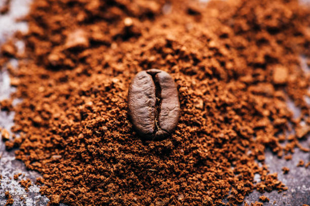 istock Coffee bean on heap of grinded coffee 1202842719