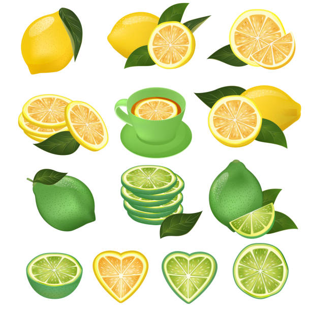 illustrazioni stock, clip art, cartoni animati e icone di tendenza di lemon vector green lime e agrumi gialli a fette di limone e fresca succosa limonata illustrazione set naturale di fetta di limone citrico tagliata isolata su sfondo bianco - lime ripe fruit citrus fruit