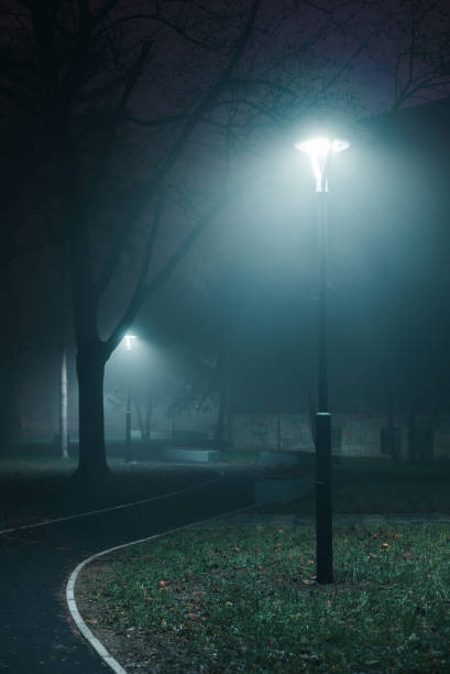 istock Lampposts in park on a foggy night 1202848100