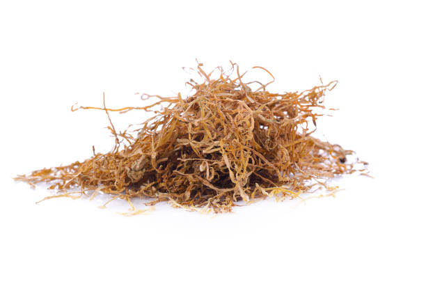 istock Tobacco on white background 1202848273