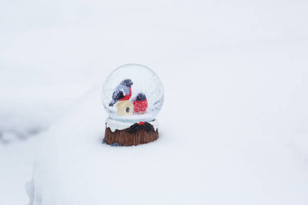 istock Two bullfinches in a glass ball with snow. 1202849139