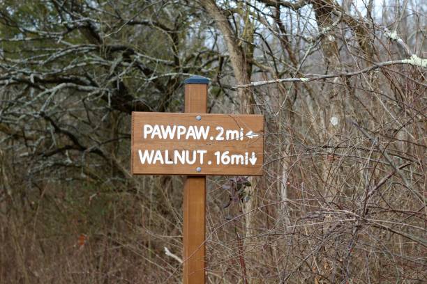 istock Brown Wood Distance Trail Maker 1202849220
