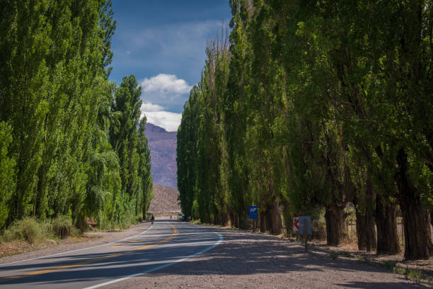 Waiting for the solar eclipse of 14 December 2020 in Junin de los Andes, Argentina, in the Andes mountain range.