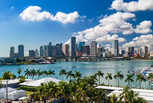 A low level elevated view of the Downtown Miami skyline with palm trees and Biscayne Bay in the foreground.