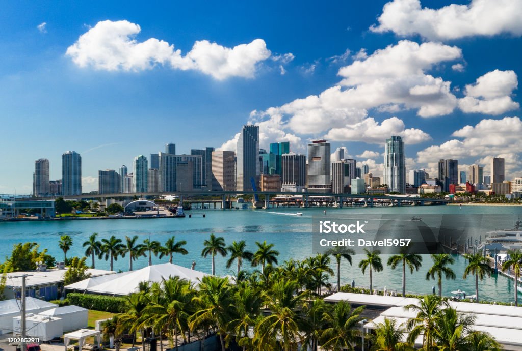 Miami Downtown Skyline With Palm Trees, Elevated View A low level elevated view of the Downtown Miami skyline with palm trees and Biscayne Bay in the foreground. Miami Stock Photo