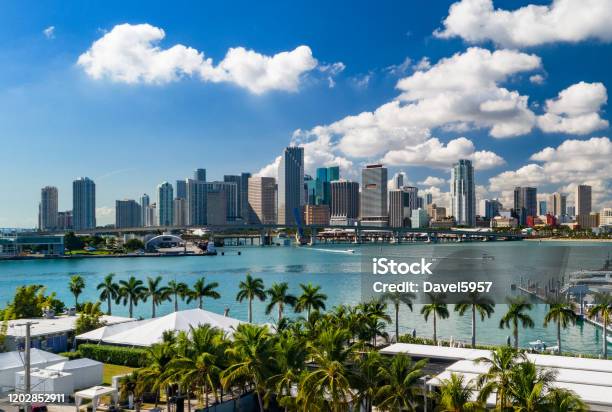 Miami Downtown Skyline With Palm Trees Elevated View Stock Photo - Download Image Now