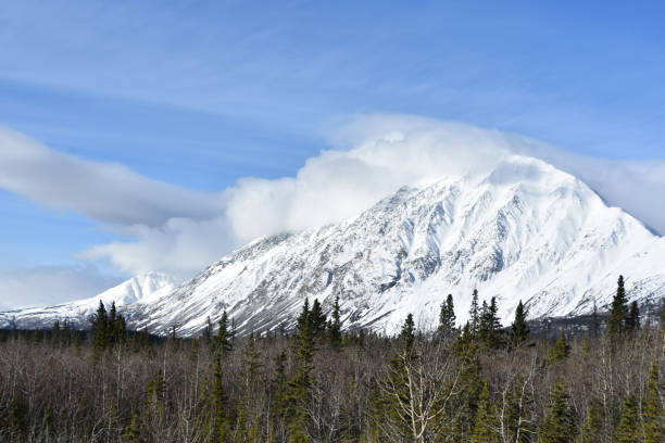 istock Alaska Highway is 2232 miles of remote wilderness 1202857741