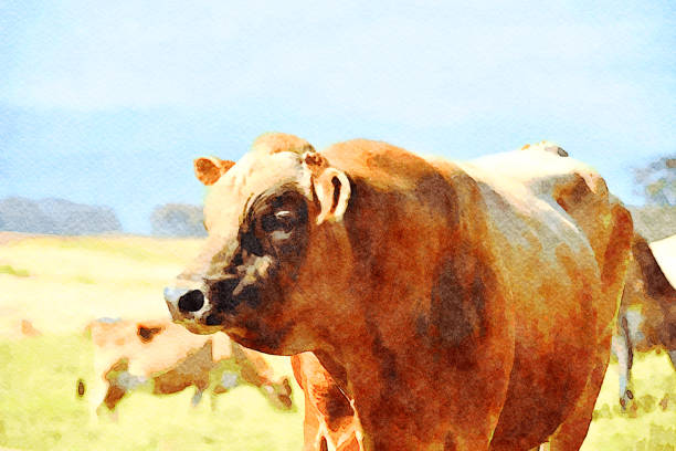 This is my Photographic Image of a Stud Bull in a Watercolour Effect. Because sometimes you might want a more illustrative image for an organic look.