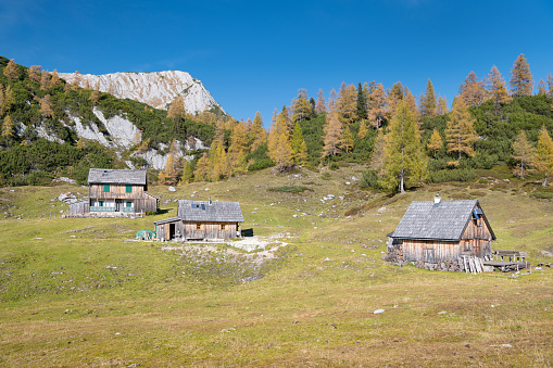 A beautiful traditional Pasture with Alpine Huts in the middle of the Austrian Alps. Nikon D850. Converted from RAW.