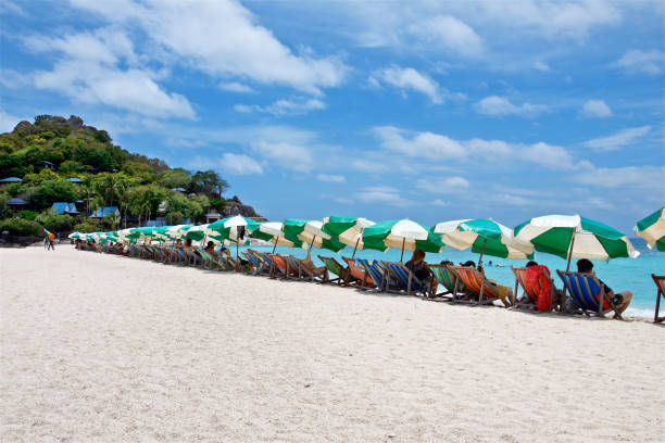 istock white and green sun umbrellas and deck chairs on a white beach 1202867897