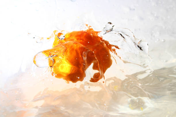 Citrus