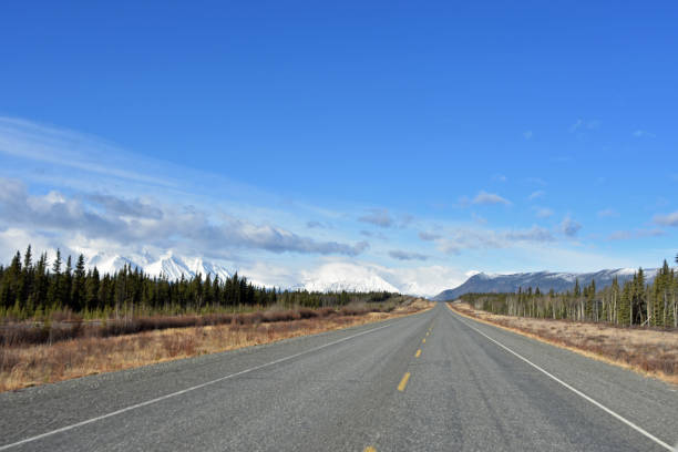 alaska highway si trova a 2232 miglia di remota natura selvaggia - 2232 foto e immagini stock