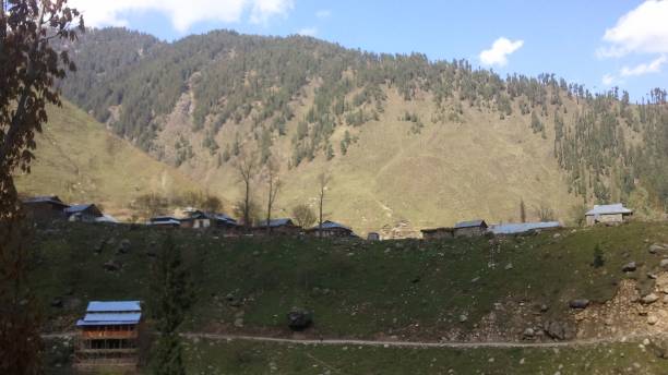 istock Nature of Kashmir 1202879649