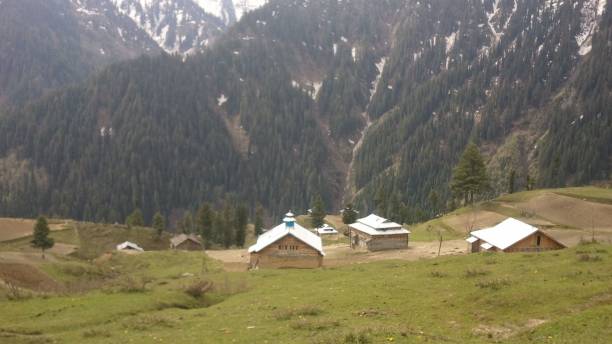 istock Nature of Kashmir 1202879656