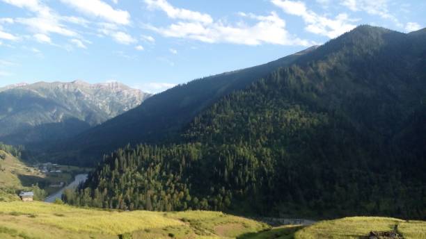 istock Nature of Kashmir 1202880195
