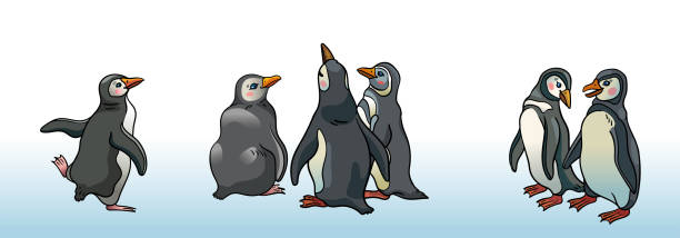 Set of magellanic penguins. Group of funny chatting penguins on a white background. Set of cartoon magellanic penguins. Vector illustration with wild antarctic birds. magellanic penguin stock illustrations