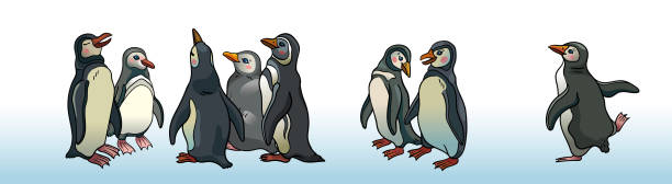 Set of magellanic penguins. The flock of funny chatting penguins on a white background. Group of cartoon Magellanic penguins. Vector illustration. magellanic penguin stock illustrations