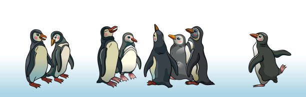 Set of magellanic penguins. The flock of funny chatting penguins on a white background. Group of cartoon Magellanic penguins. Vector illustration. magellanic penguin stock illustrations