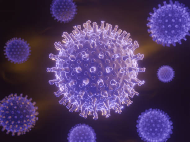 istock Coronavirus cells in human body. Respiratory virus in microscopic view. 1202884176