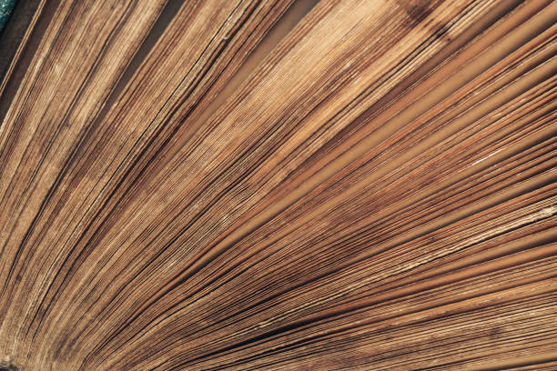 istock Close up beautiful ancient book pattern background for design. The book is in bad condition. 1202889132