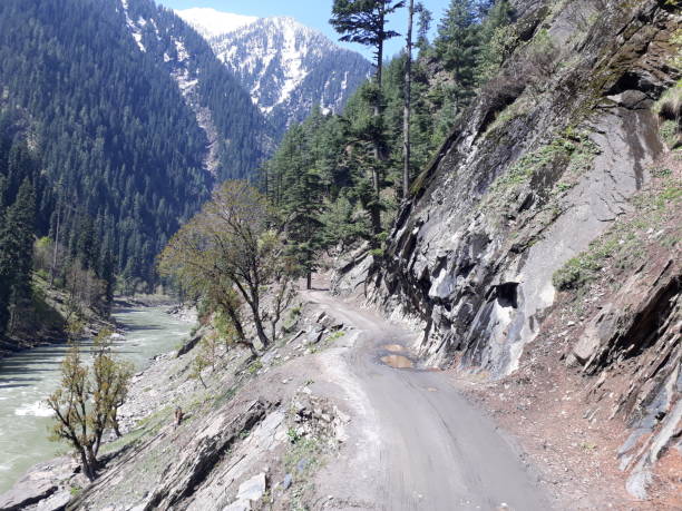 istock Nature of Kashmir 1202894334